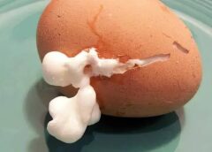 How to Boil Eggs Without Cracking Them